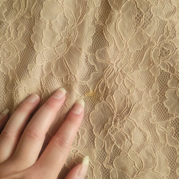 Park & Fifth Dress Womens S Champagne Beige Fitted Lace Adjustable Straps Formal - Picture 2 of 14